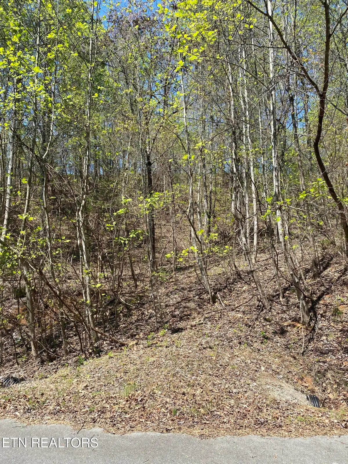 Lot 549 Garnet Tr, New Tazewell, TN 37825 - #1