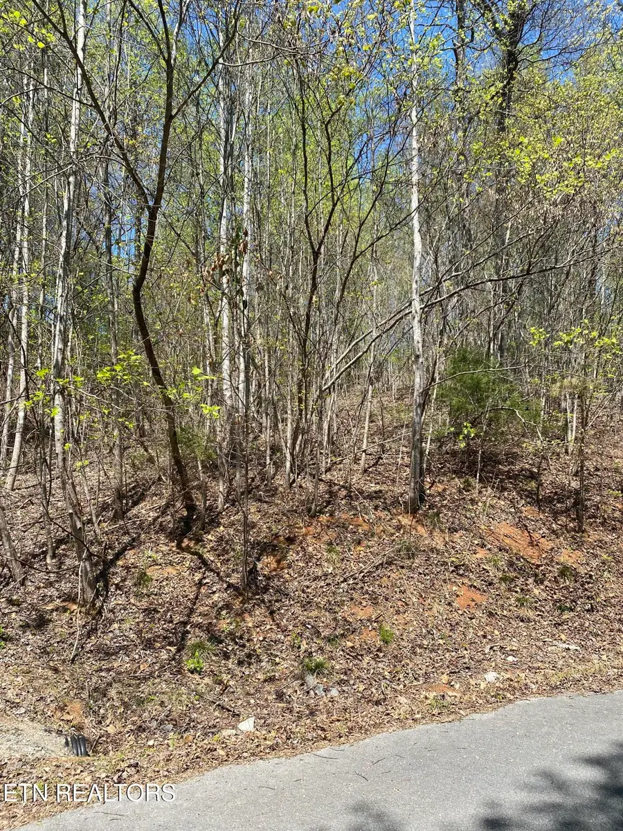 Lot 549 Garnet Tr, New Tazewell, TN 37825 - #2