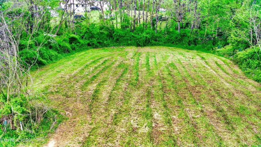 471 Park Rd, Caryville, TN 37714 - #3