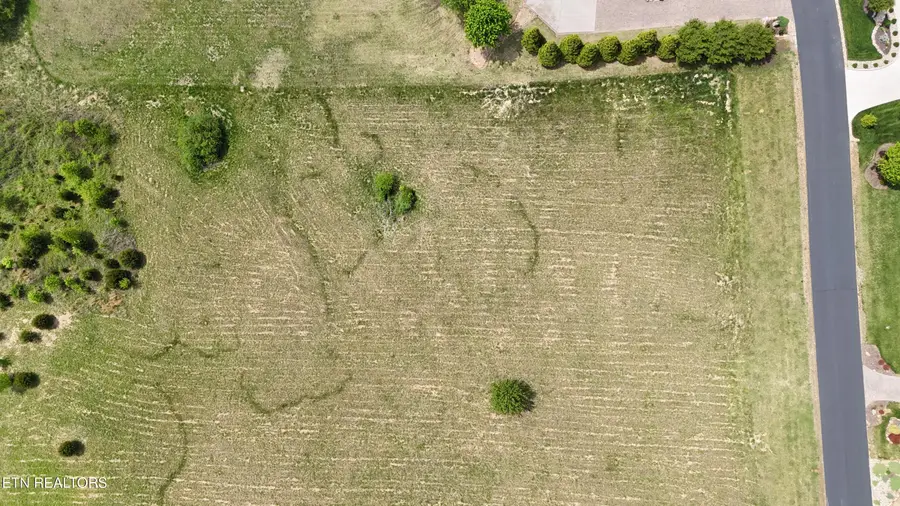 Lot 637 Majestic View Drive, Rockwood, TN 37854 - #3