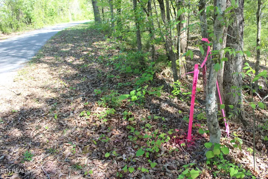 3720 Wayne Bryant Rd, Louisville, TN 37777 - #2