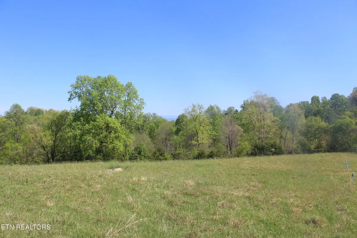 3730 Wayne Bryant Rd, Louisville, TN 37777 - #1