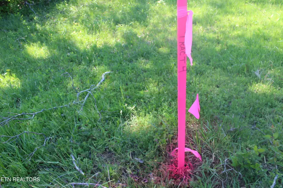 3740 Wayne Bryant Rd, Louisville, TN 37777 - #2