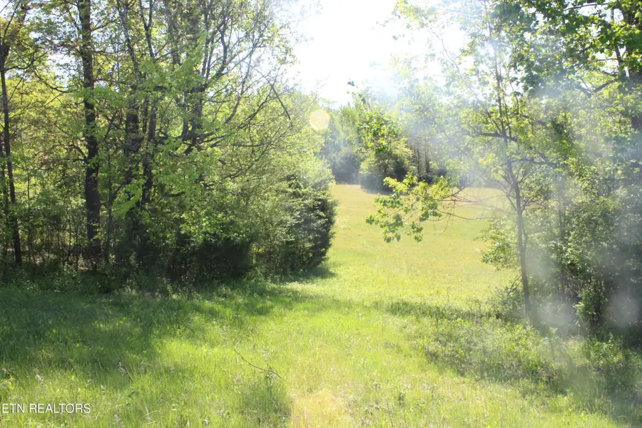 3740 Wayne Bryant Rd, Louisville, TN 37777 - #3