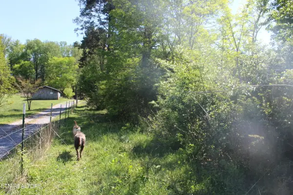 3780 Wayne Bryant Rd, Louisville, TN 37777