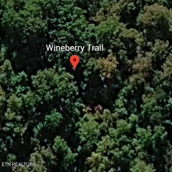 Wineberry Tr, Ewing, VA 24248