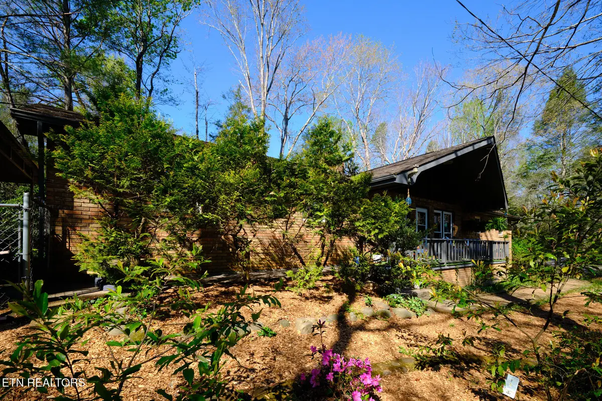 543 Reba Lane, Gatlinburg, TN 37738 - #1