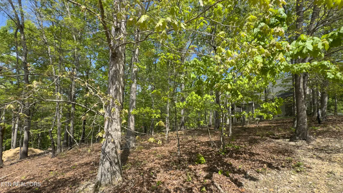 2085 Old Dogwood Tr, Loudon, TN 37774 - #1