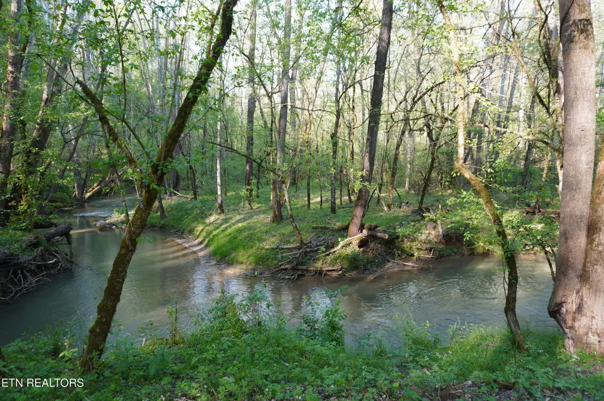 Lots 1-2 Golf Course Rd, Newport, TN 37821 - #1