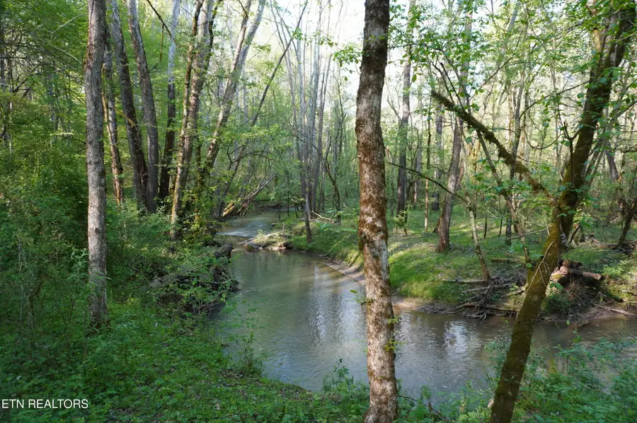 Lots 1-2 Golf Course Rd, Newport, TN 37821 - #2
