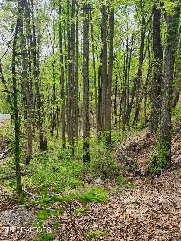 Lot 1 Hatcher Mtn Rd, Sevierville, TN 37862
