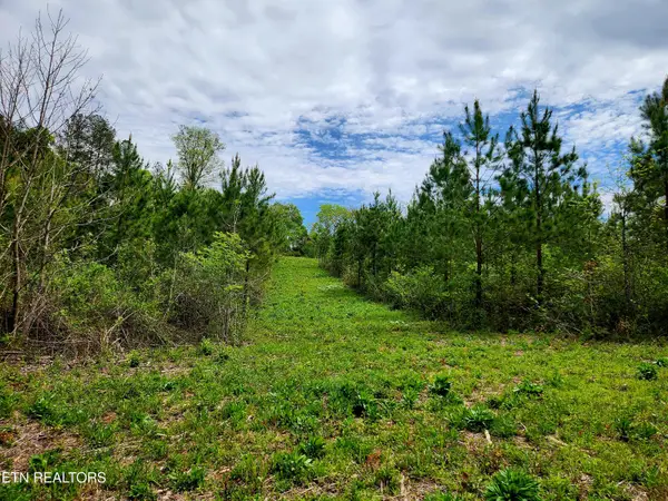 Lot 6 Winding Tr, Madisonville, TN 37354