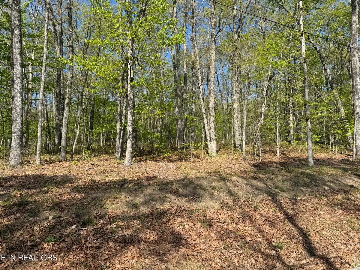 47&49 Cheshire Terrace, Crossville, TN 38558 - #1