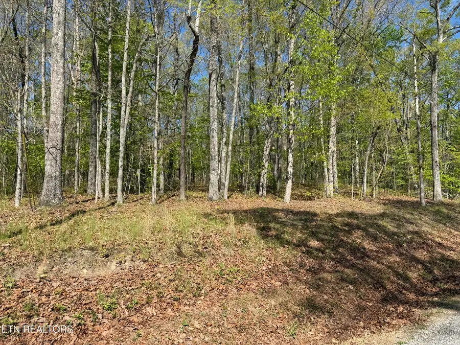 47&49 Cheshire Terrace, Crossville, TN 38558 - #2