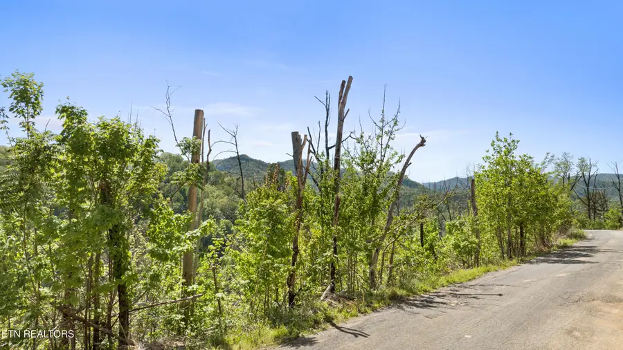 Headrick Lead, Sevierville, TN 37862 - #2