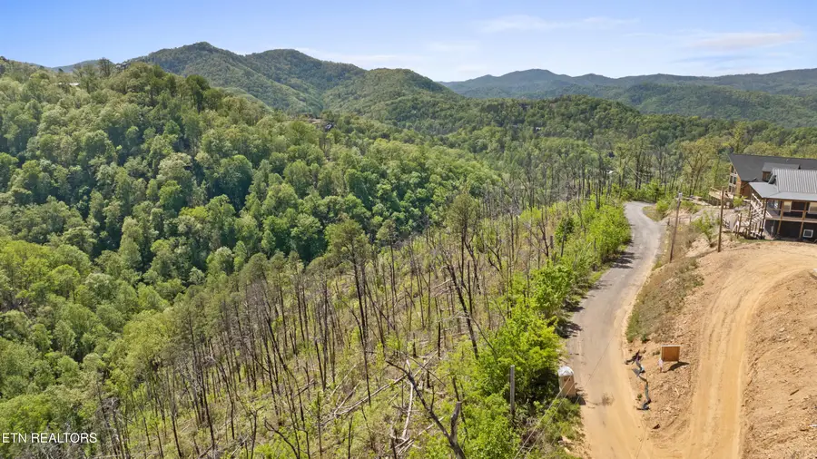 Headrick Lead, Sevierville, TN 37862 - #3