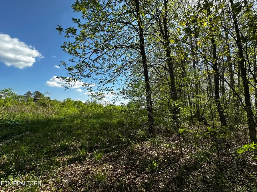 105 Johnson Hollow Lane, Greeneville, TN 37745 - #2