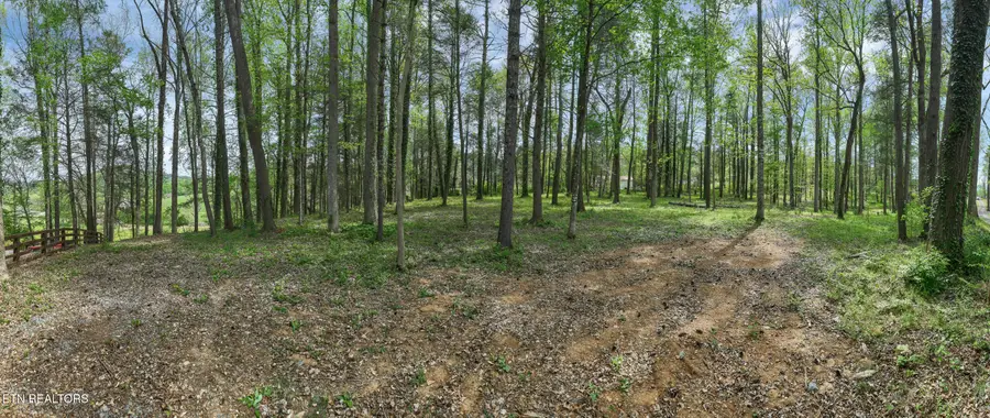 151 Bethel Church Rd, Townsend, TN 37882 - #2