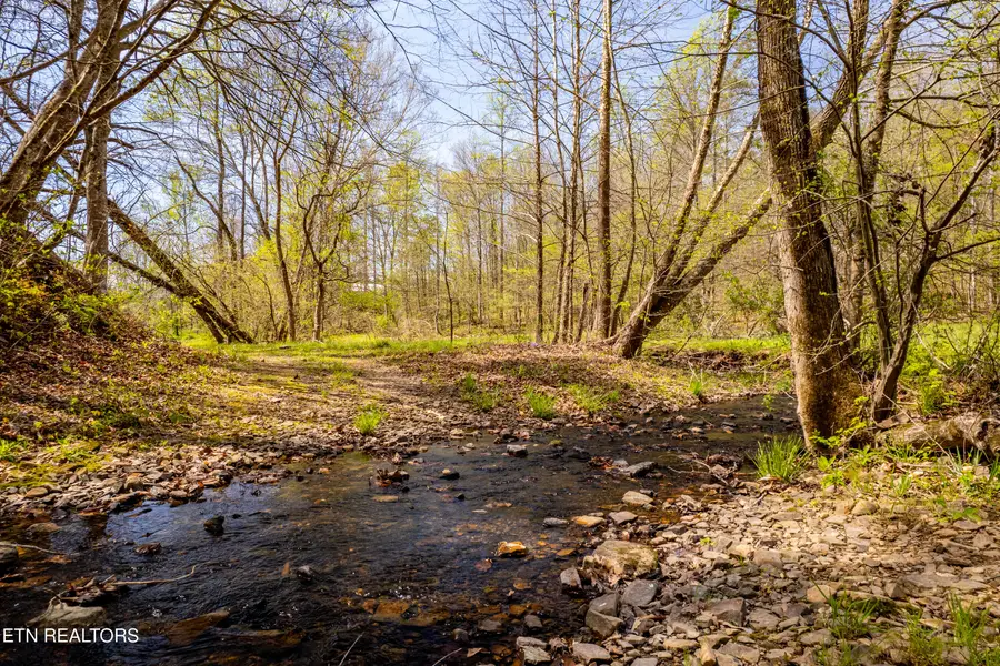 596 Byrams Fork Rd, Andersonville, TN 37705 - #3