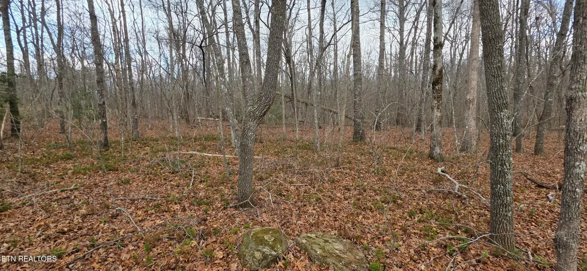 13 Pond Rd, Monterey, TN 38574 - #1