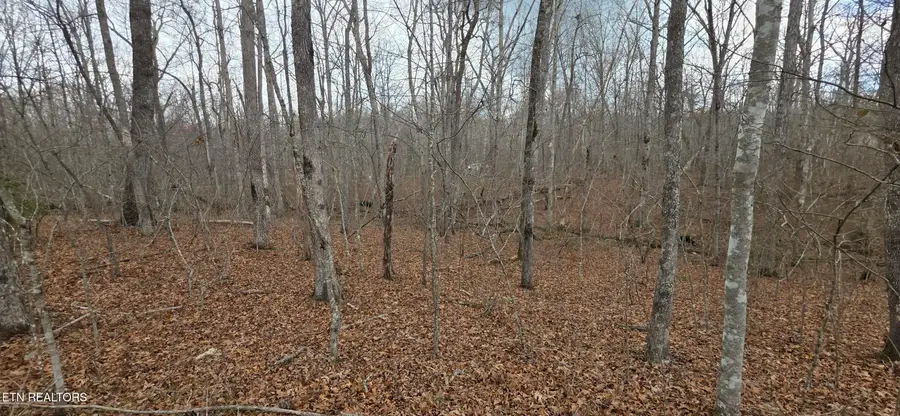 13 Pond Rd, Monterey, TN 38574 - #2