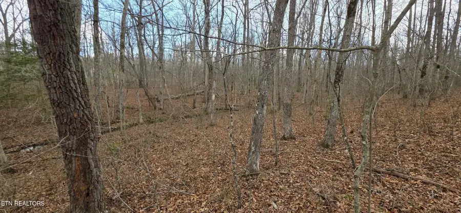 13 Pond Rd, Monterey, TN 38574 - #3