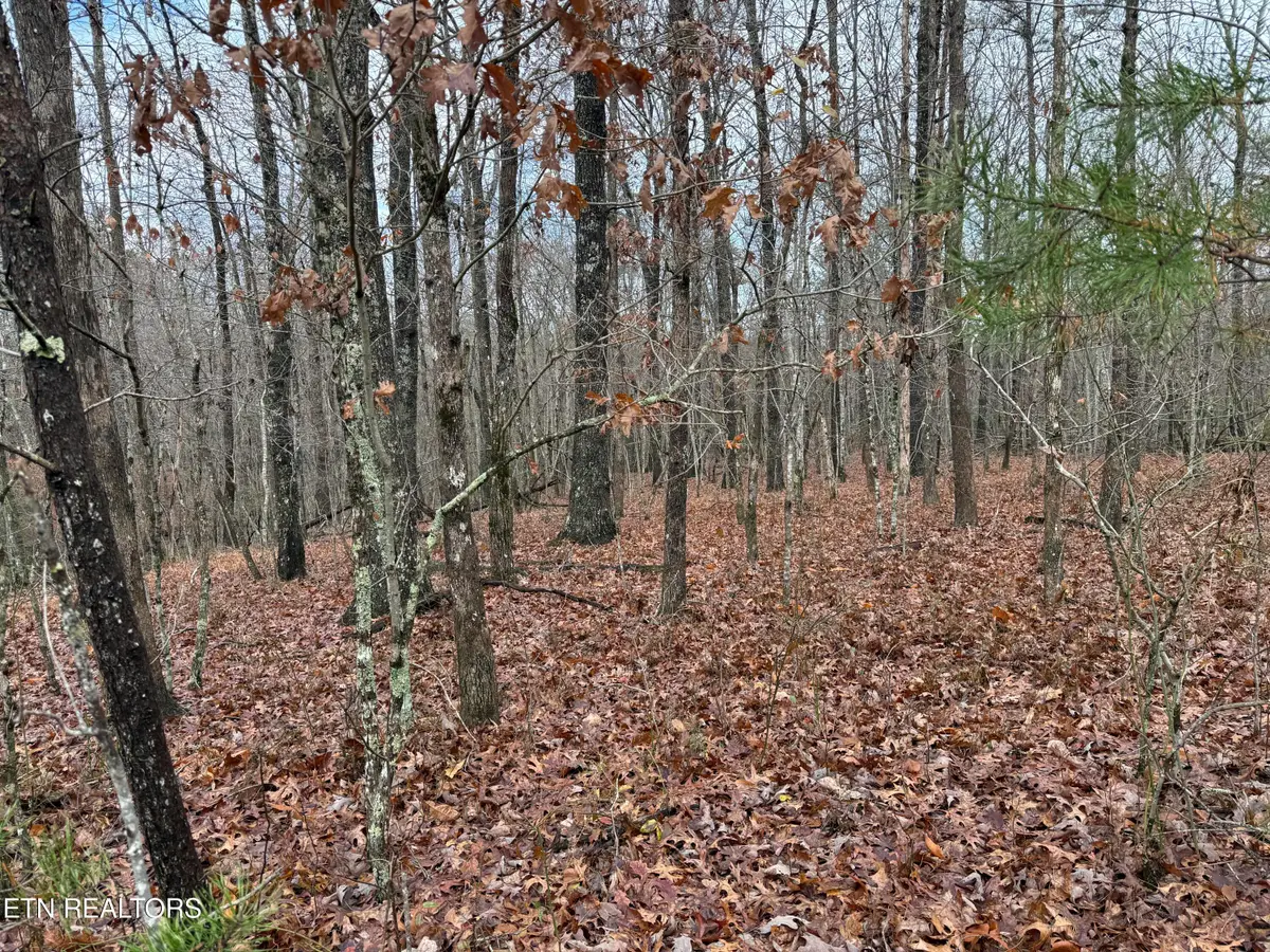 Icy Cove Tr, Monterey, TN 38574 - #1