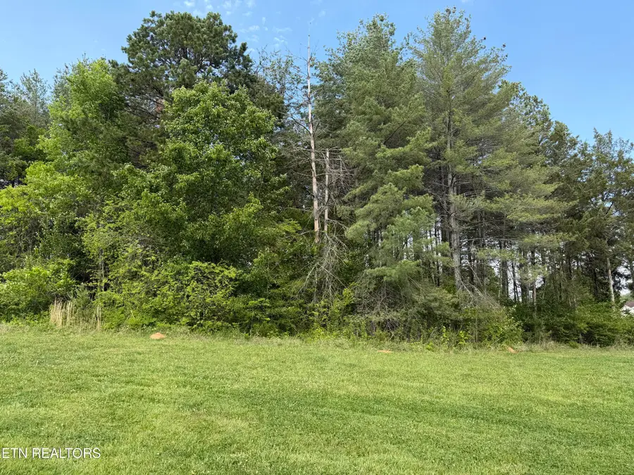 1673 Harbor Crest Way, Knoxville, TN 37922 - #3