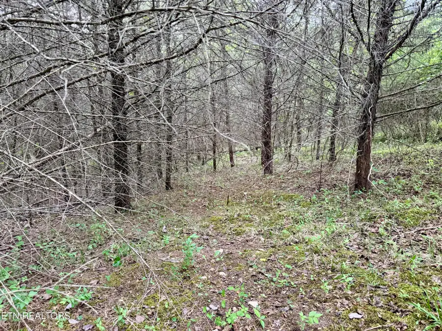 Wedge Way #Lot 206, Tazewell, TN 37879 - #2