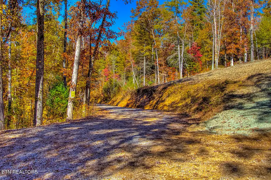 1968 E Millers Cove Rd, Walland, TN 37886 - #3