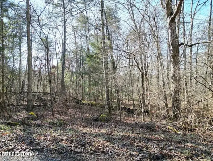 6028 Tomahawk Drive, Crossville, TN 38572 - #3