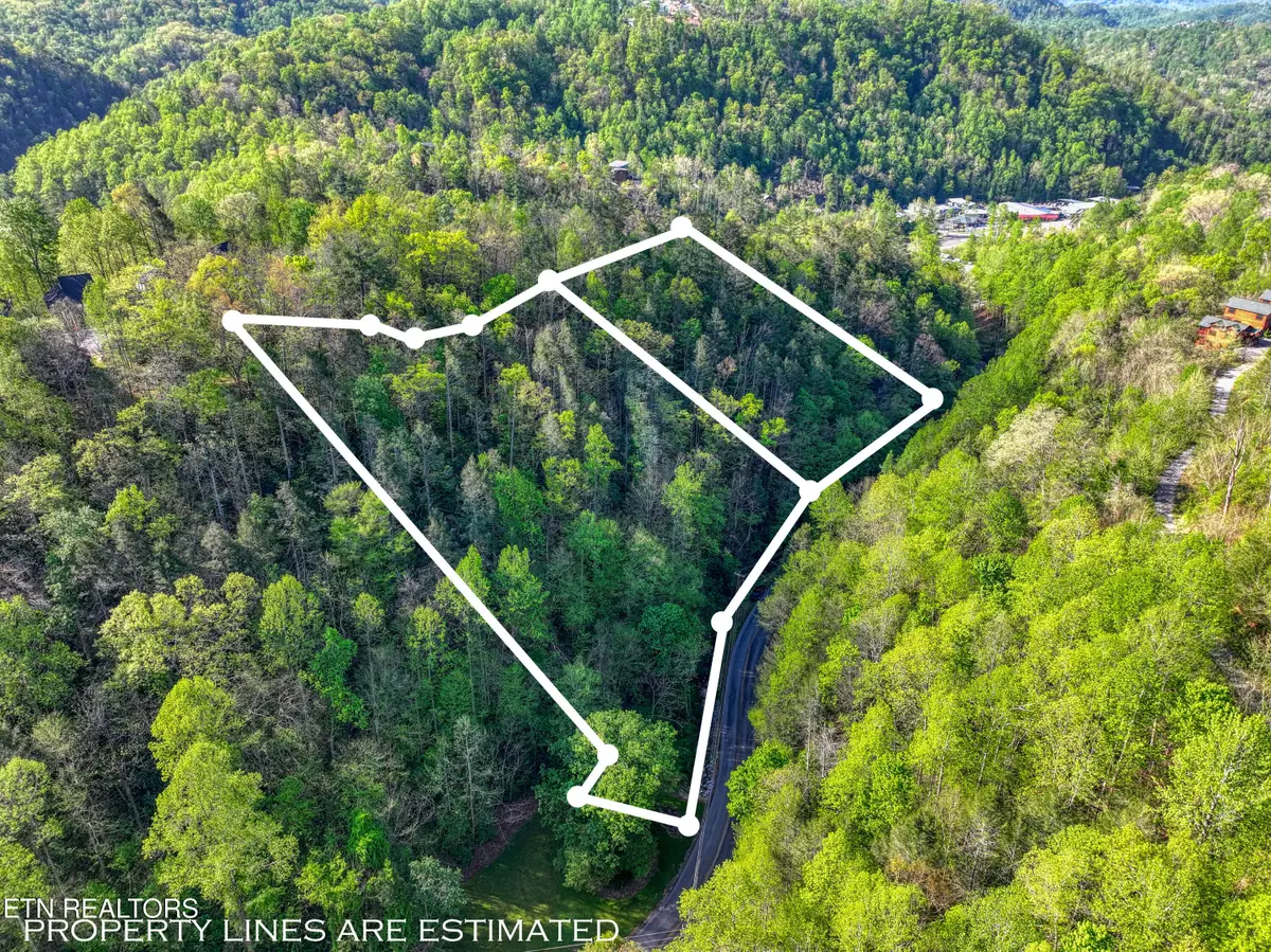 Cartertown Rd, Gatlinburg, TN 37738 - #1