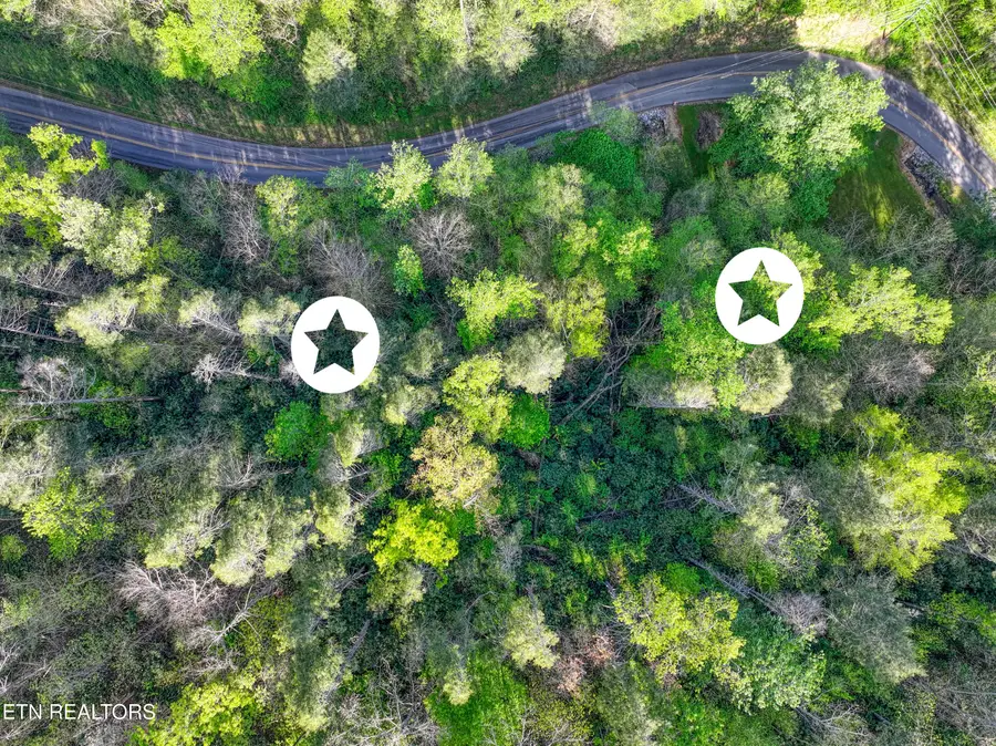 Cartertown Rd, Gatlinburg, TN 37738 - #2