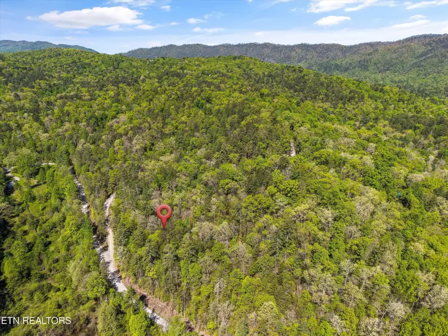 1820 Oakwood Rd, Walland, TN 37886 - #3