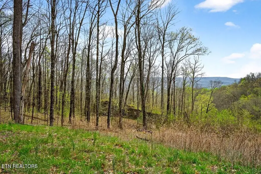 0 White Oak Flatt Rd #178 Cho, Sparta, TN 38583 - #3