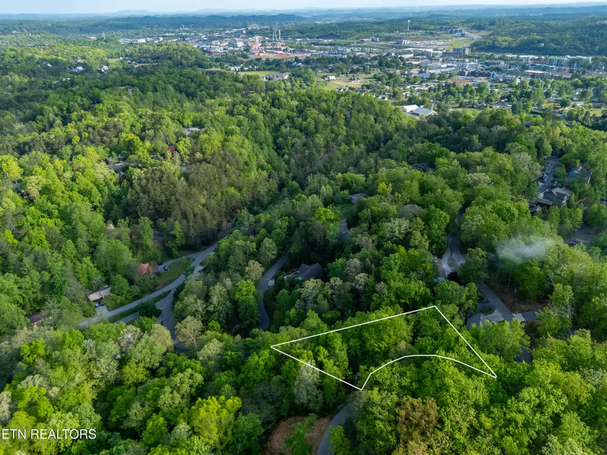 0 Monte Wood Cir, Pigeon Forge, TN 37863 - #1