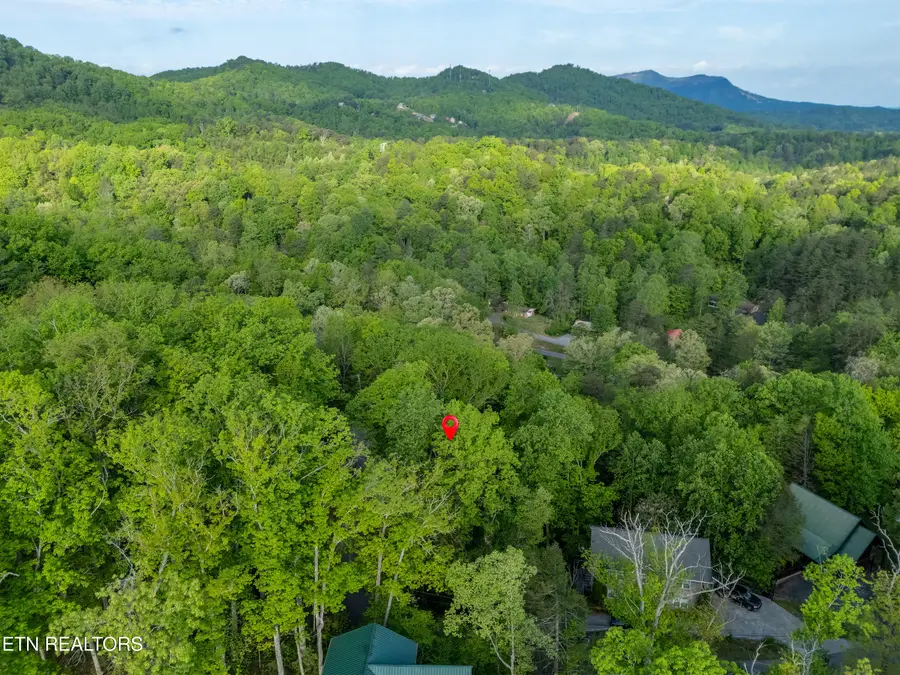 0 Monte Wood Cir, Pigeon Forge, TN 37863 - #3