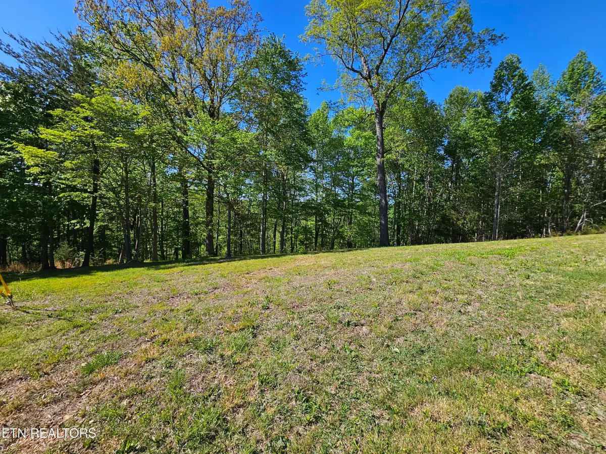 Norris View Lane #1, Lafollette, TN 37766 - #1