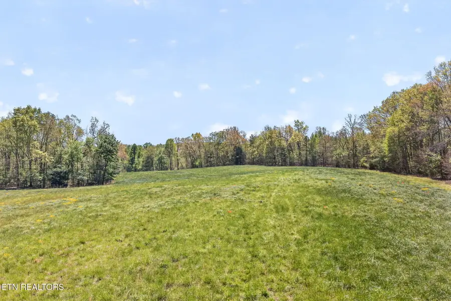 Lot 6 Smith Mountain Rd, Rockwood, TN 37854 - #3