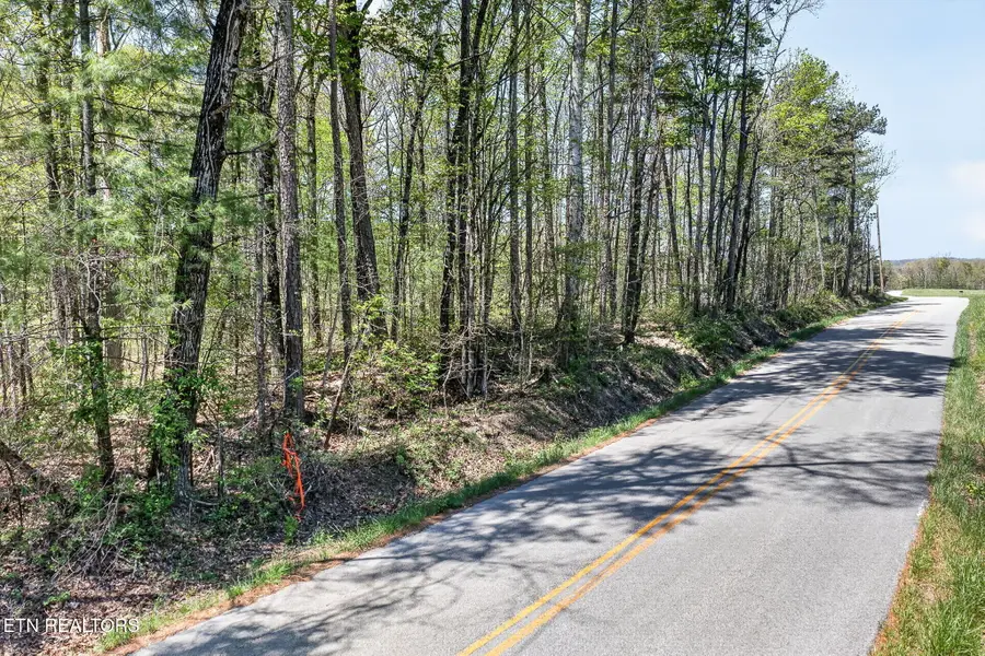 Lot 4 Smith Mountain Rd, Rockwood, TN 37854 - #3