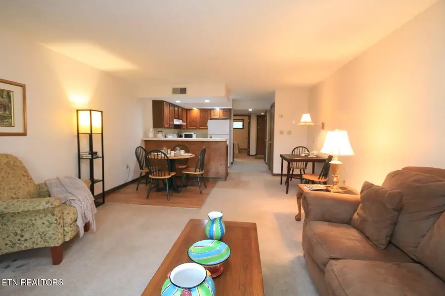 1435 Wiley Oakley Drive #APT 158, Gatlinburg, TN 37738 - #2