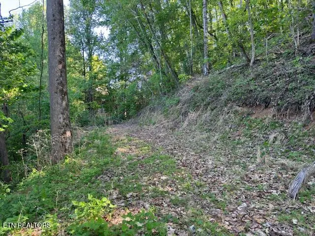 Dove View Rd #Lot 13, Sevierville, TN 37862 - #1