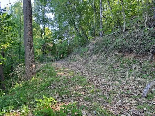 Dove View Rd #Lot 13, Sevierville, TN 37862
