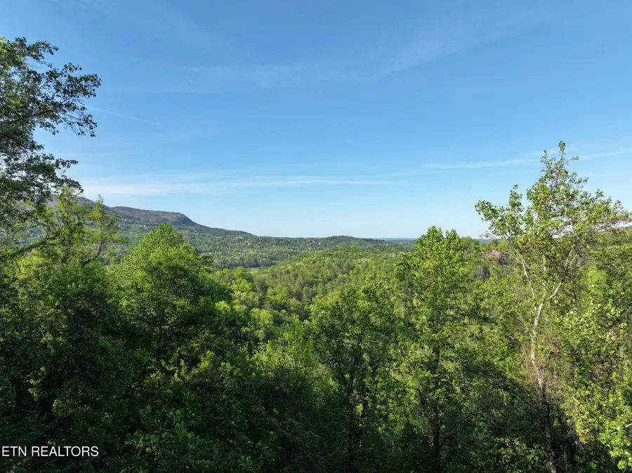 Dove View Rd #Lot 13, Sevierville, TN 37862 - #3