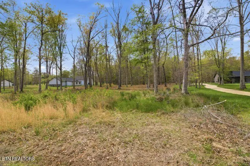 Peaceful Point, Dandridge, TN 37725 - #1