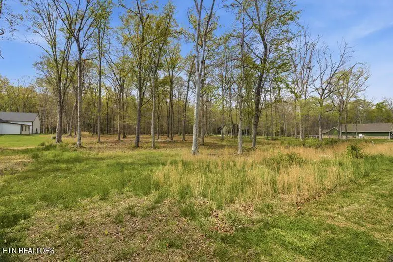 Peaceful Point, Dandridge, TN 37725 - #3