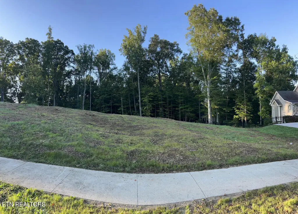 212 Highland Ridge Terrace, Johnson City, TN 37615 - #1