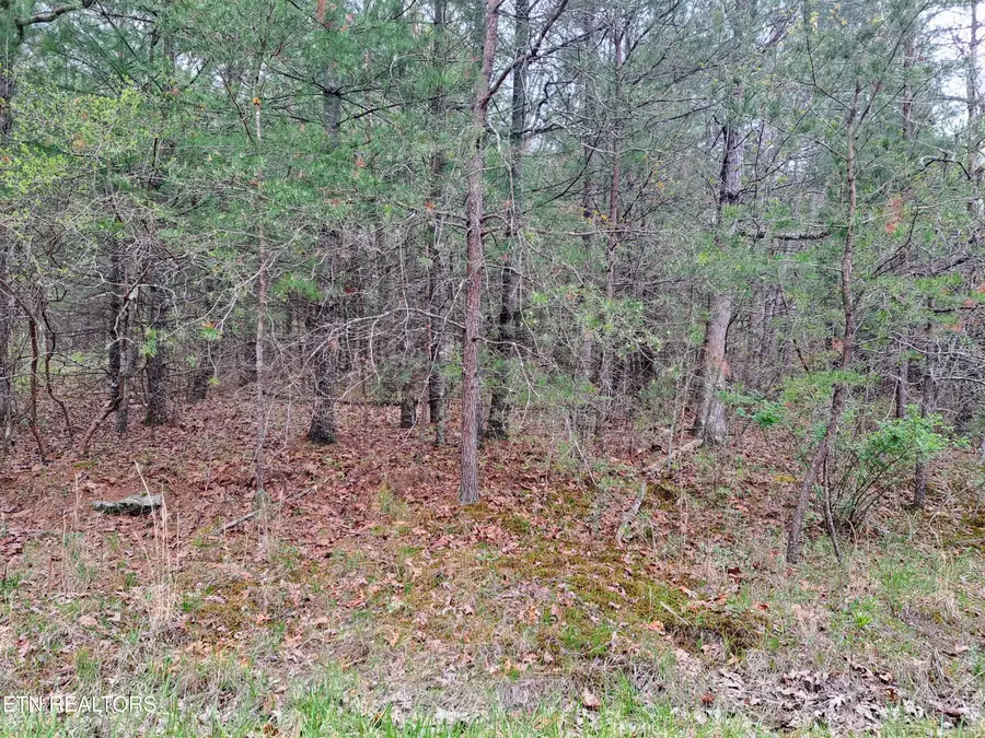 927 Paola Drive, Crossville, TN 38572 - #2