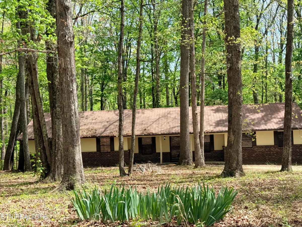 549 Yellow Cliff Estates Rd, Jamestown, TN 38556 - #1