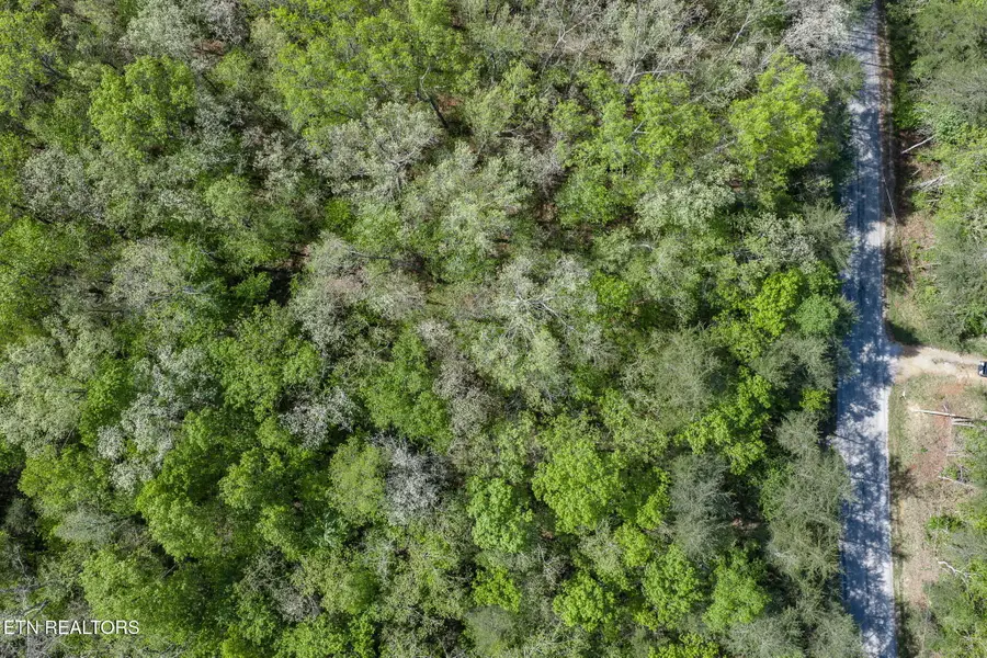 111 Bainbridge Court, Crossville, TN 38558 - #3